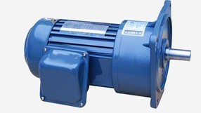 立式 齒輪馬達(dá)